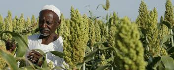 Sustainable farming
